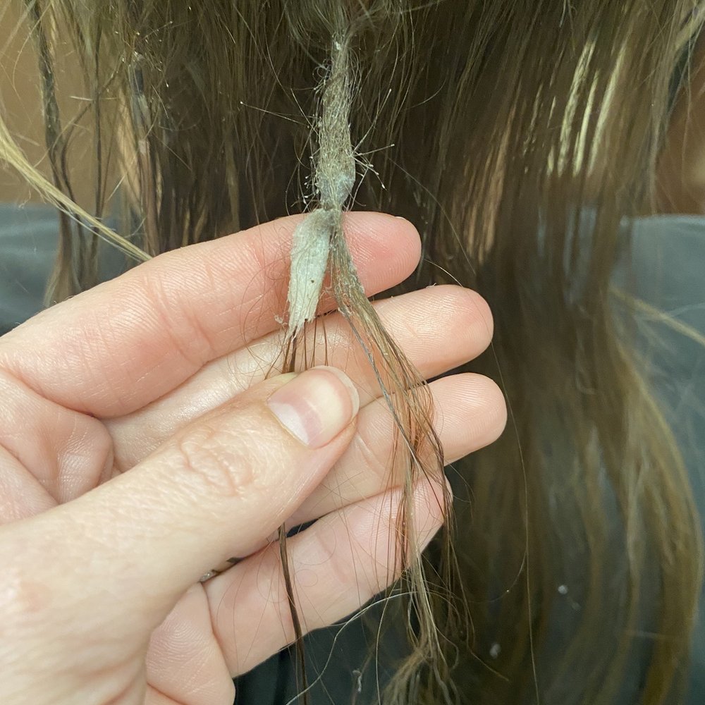 Monaco Hair Extensions Salon - This is one of the bonds wrapped in glue stuck to my hair - Hair Extensions Near Me - Tampa, Florida Monaco Hair Extensions Salon - This is one of the bonds wrapped in glue stuck to my hair - Hair Extensions Near Me - Tampa, Florida