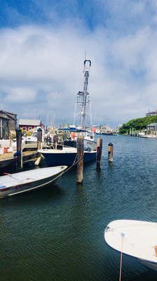 Menemsha Galley by null
