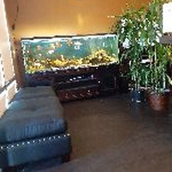 ALOE SPA - Skin Care Near Me - Las Vegas, Nevada ALOE SPA - Skin Care Near Me - Las Vegas, Nevada