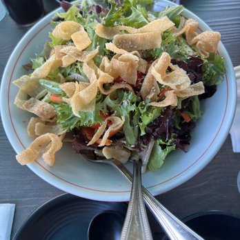 Dumpling Time - Asian Green Salad - Dim Sum Near Me - San Francisco, California Dumpling Time - Asian Green Salad - Dim Sum Near Me - San Francisco, California