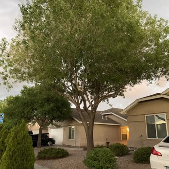 JC Tree Care - Tree Services Near Me