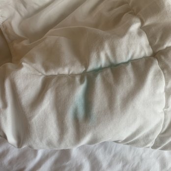 Fairfield by Marriott Inn & Suites Naples - Blue Stain - Hotels Near Me - Naples, Florida Fairfield by Marriott Inn & Suites Naples - Blue Stain - Hotels Near Me - Naples, Florida