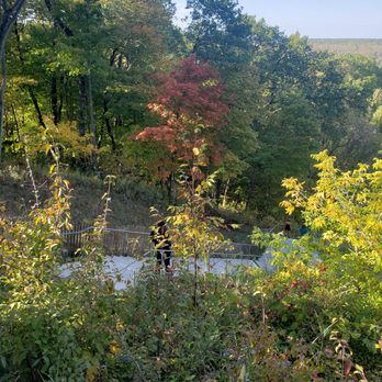 Swallow Cliff Woods - Hiking Near Me - Palos Hills, Illinois Swallow Cliff Woods - Hiking Near Me - Palos Hills, Illinois