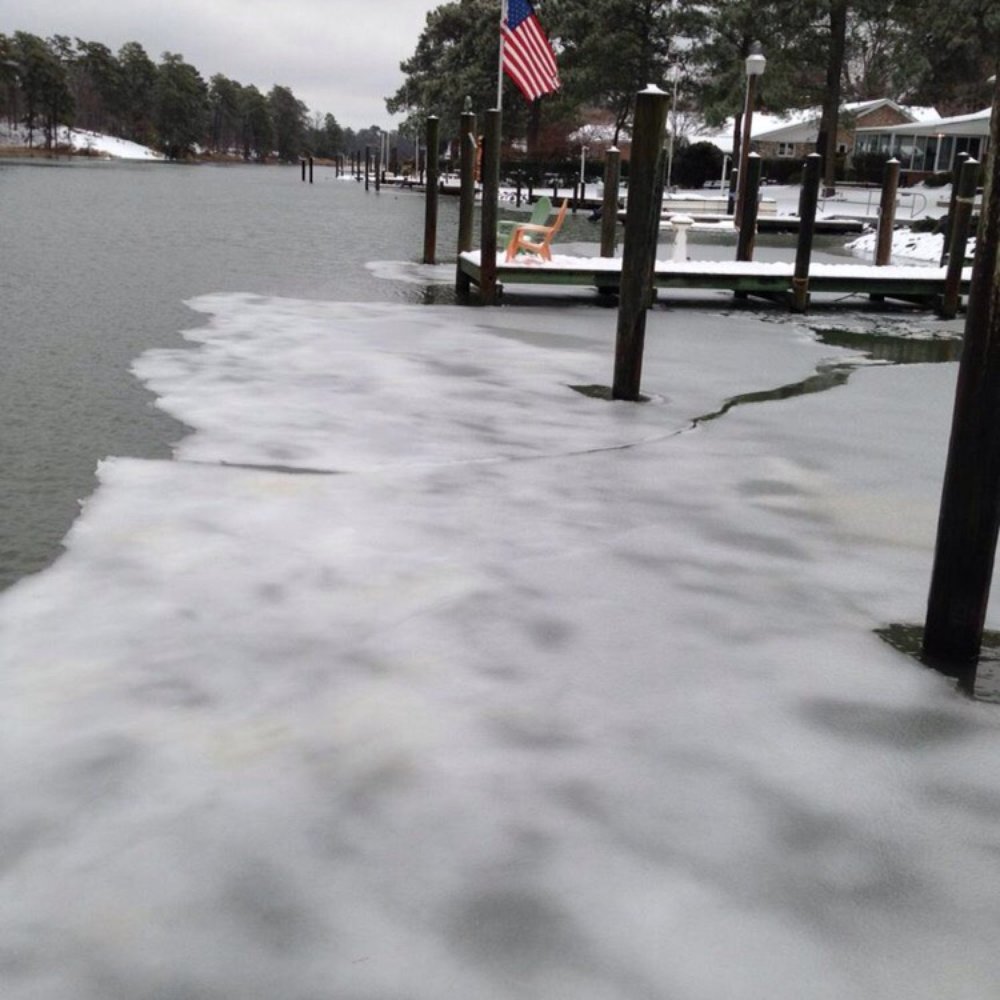 First Landing State Park - Parks Near Me - Virginia Beach, Virginia