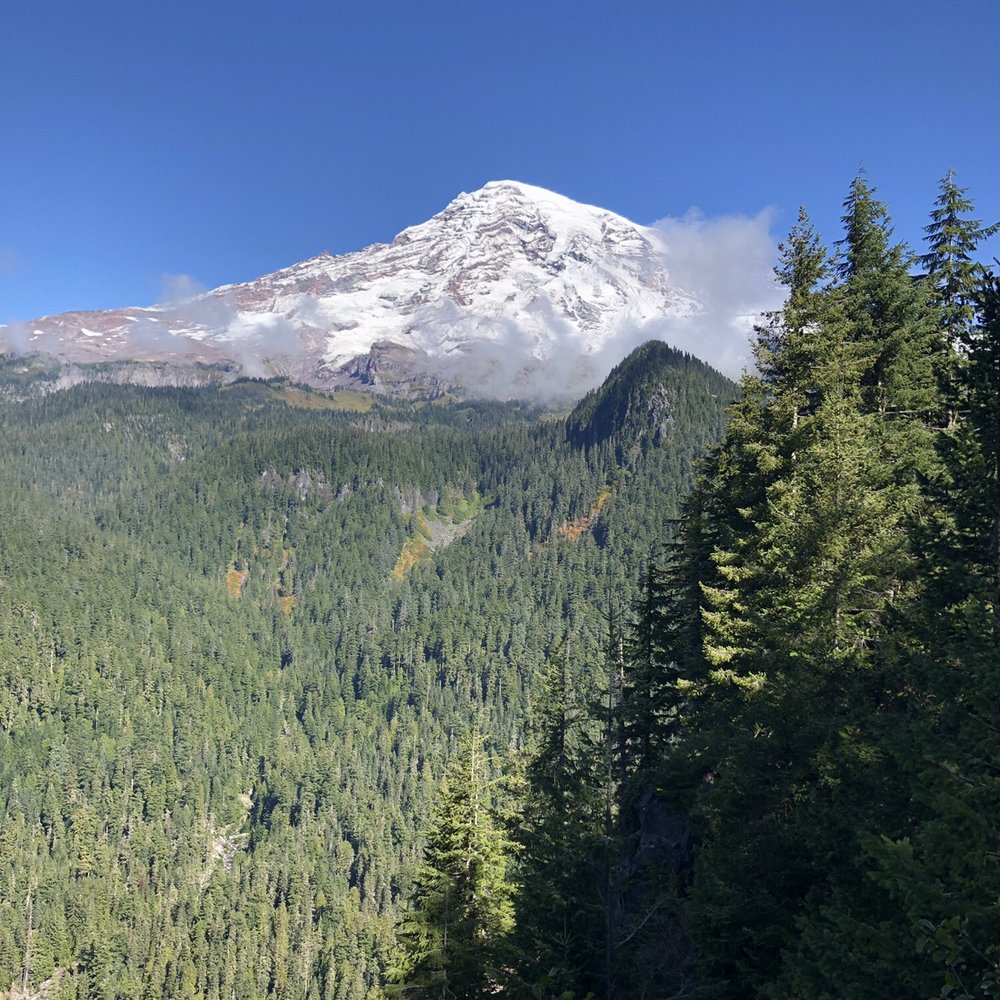 Customized Tours - Mount Rainier - Tours Near Me - Des Moines, Washington