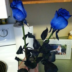 The Rose Man - Best flowers
