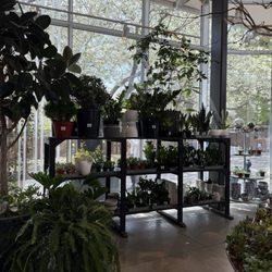 Terrain
