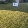 Compass Estate Sales & Liquidators
