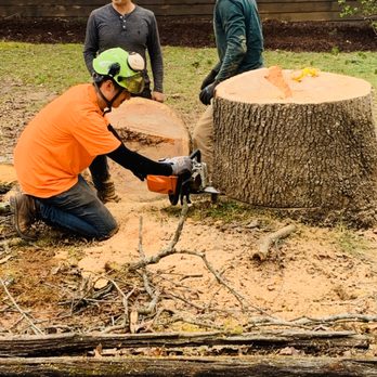 Cardinal Points Tree Specialist - Tree Services Near Me Cardinal Points Tree Specialist - Tree Services Near Me
