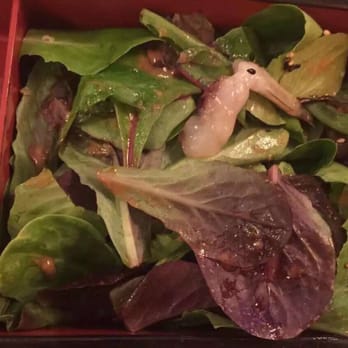 Densetsu - DEAD SHRIMP AT FRESH SALAD! Awful!!! - Japanese Near Me - Plano, Texas