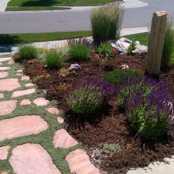 Mile Hi Services - Front Yard 10 months BEFORE Mile Hi - Lawn Services Near Me - Denver, Colorado