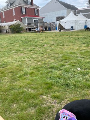 Sly Clyde Ciderworks by null