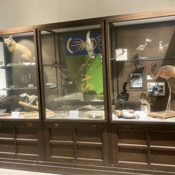 Peggy Notebaert Nature Museum - Older Taxidermy - Museums Near Me - Chicago, Illinois Peggy Notebaert Nature Museum - Older Taxidermy - Museums Near Me - Chicago, Illinois