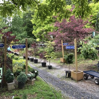 Walker Farm - Japanese maples! - Fruits & Veggies Near Me - Brattleboro, Vermont