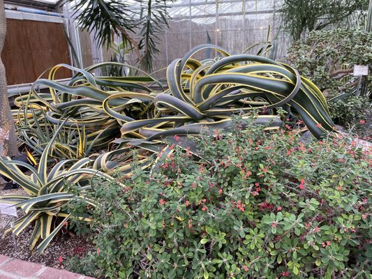 Fairmount Park Horticulture Center by null