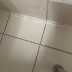 Country Inn & Suites by Radisson, Lexington, VA - Filthy bathroom, mouse droppings?