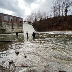 Burt Dam - Salmon, Trout and Steelhead