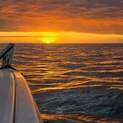 Kaimana Adventures - Sunset on kaimama adventures