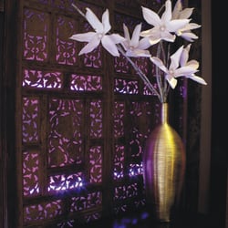 Restaurant Indian city