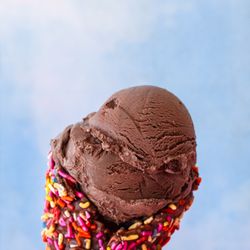 Snelgrove Ice Cream - Ice Cream in Sprinkle Chocolate Dipped Waffle Cone