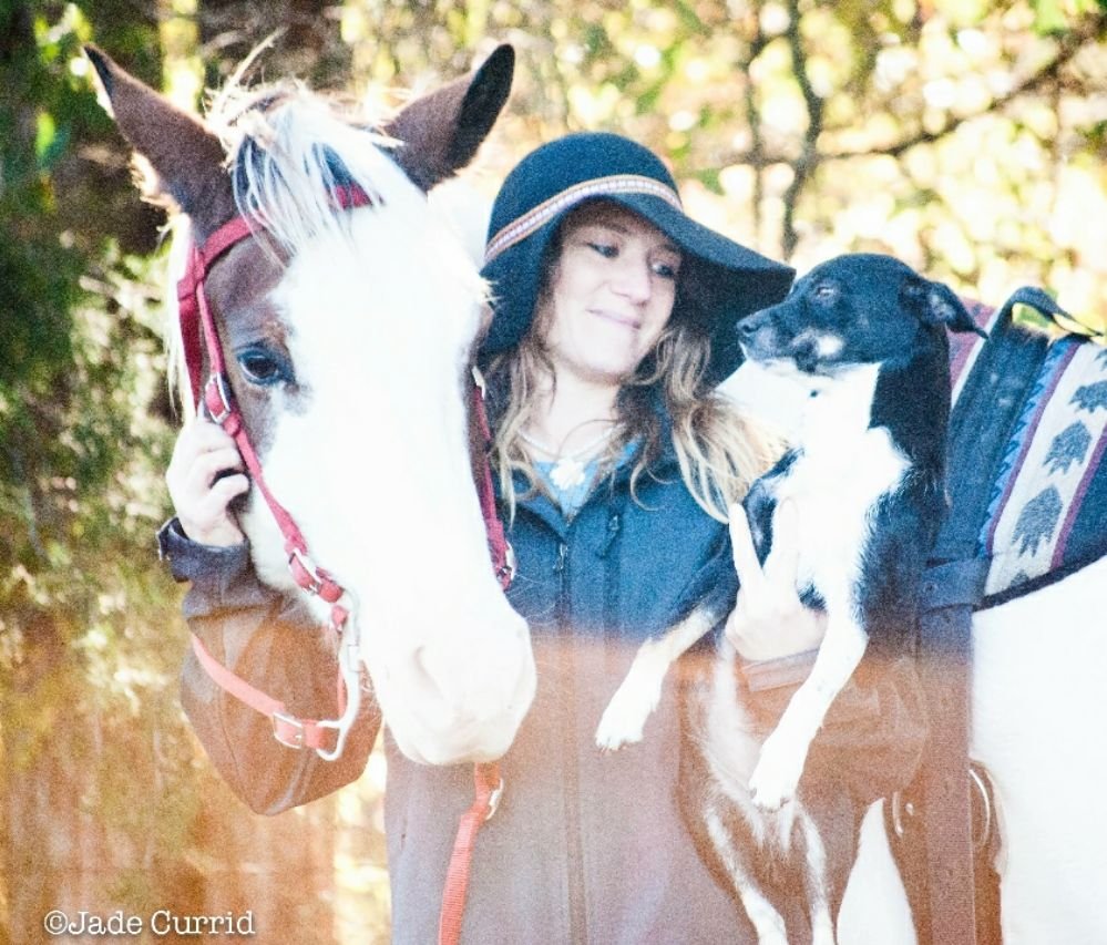 Barehoof Pet Care and Exercise - equestrian in Waverly, AL