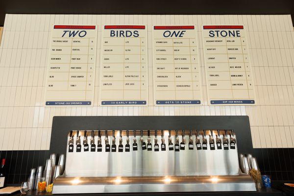 Two Birds One Stone by null