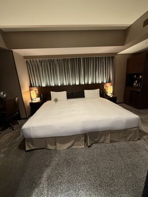The Royal Park Hotel Tokyo Shiodome by null