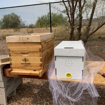 Honey Horizons - Introducing the nuc to their new backyard - Aug 2020 - Pest Control Near Me Honey Horizons - Introducing the nuc to their new backyard - Aug 2020 - Pest Control Near Me
