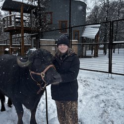 Oak Meadow Ranch Featuring The Whitehorse Steakhouse