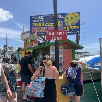 E Sea Diver - Whoop there it is! - Snorkeling Near Me - Honolulu, Hawaii