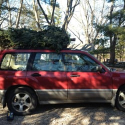 Mattern's Pine Ridge Nursery - They'll thrown in some rope and tie it to your car for free!