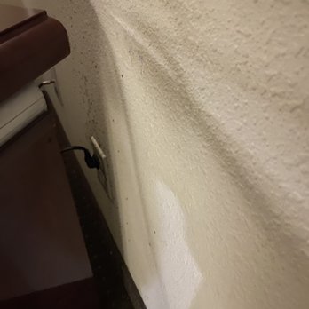 Holiday Inn Express & Suites Sebring - Bugs - Hotels Near Me - Sebring, Florida Holiday Inn Express & Suites Sebring - Bugs - Hotels Near Me - Sebring, Florida
