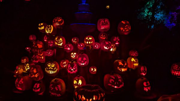 Roger Williams Park Zoo by null