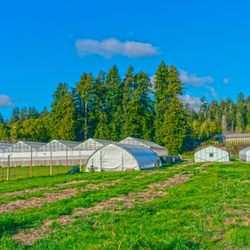 Lotta Farms