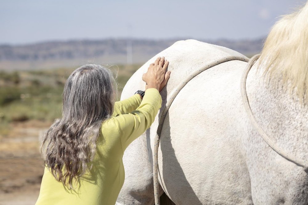 TEN MILE HOLISTIC VETERINARY CARE - Updated April 2024 - Request