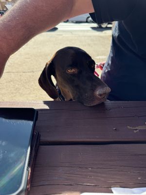 Brew Drinkery by null