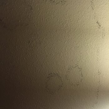 Courtyard by Marriott Richmond Chester - The lovely black mold courtesy of Marriott - Hotels Near Me - Chester, Virginia Courtyard by Marriott Richmond Chester - The lovely black mold courtesy of Marriott - Hotels Near Me - Chester, Virginia