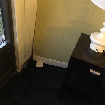 Hampton Inn & Suites Gainesville-Downtown - Infested in Black Mold and Mildew for $675 per night normally $150. - Hotels Near Me - Gainesville, Florida Hampton Inn & Suites Gainesville-Downtown - Infested in Black Mold and Mildew for $675 per night normally $150. - Hotels Near Me - Gainesville, Florida