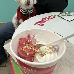 sweetFrog Premium Frozen Yogurt