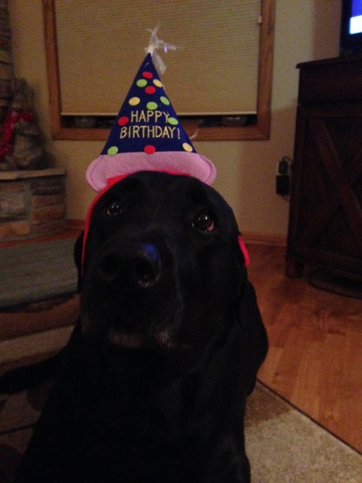 BILJAC FOODS Updated September 2024 3337 Medina Rd, Medina, Ohio