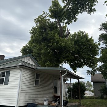 Mueller Tree Service - Tree Services Near Me - Arcadia, Missouri Mueller Tree Service - Tree Services Near Me - Arcadia, Missouri