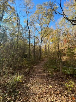 Ruffner Mountain by null