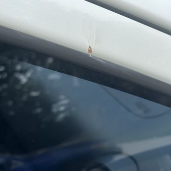Trax Car Wash - Bird poop - Car Wash Near Me - New Brunswick, New Jersey