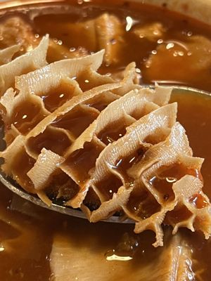 Tequila Bar & Grill by null