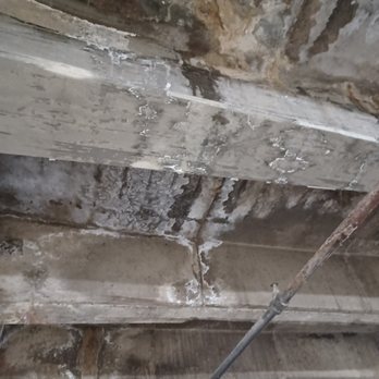 Oliver House - White calcium deposits from the garage sealing damaging cars. Don't move here! - Apartments Near Me - Shaker Heights, Ohio Oliver House - White calcium deposits from the garage sealing damaging cars. Don't move here! - Apartments Near Me - Shaker Heights, Ohio
