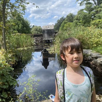 Old Frog Pond Farm - a young girl standing in front of a pond - Farmers Market Near Me - Harvard, Massachusetts
