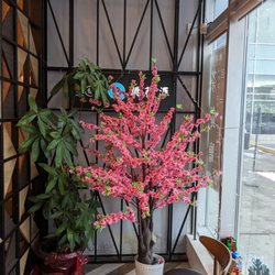 Taoyuan Neverland - View when you walk in