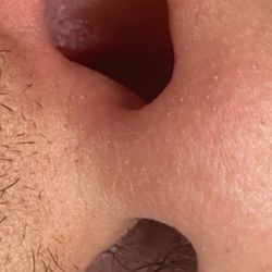 The Fuzzy Peach - Nose Wax
