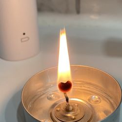 Emotional Support Counselor - A Heart moulded, illuminated, and expressed through burning flames of Peace, Unconditional Love, & Light