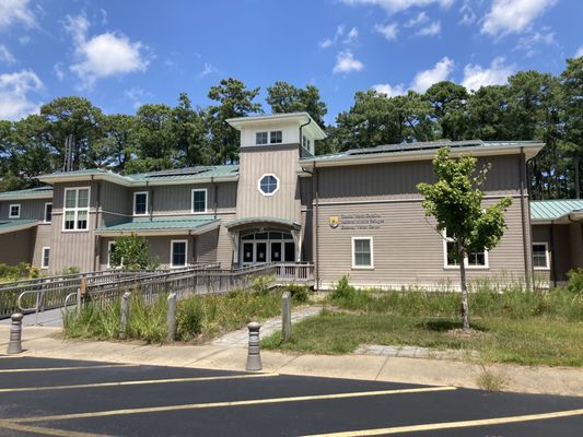 Alligator River National Wildlife Refuge by null